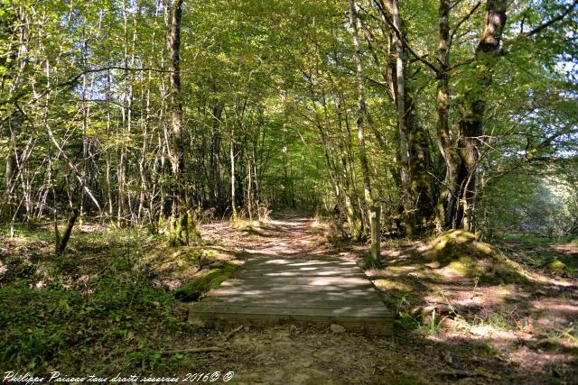 Étangs de Baye et Vaux sentier martin pêcheur