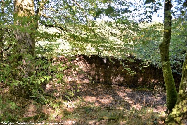 Étangs de Baye et Vaux sentier martin pêcheur