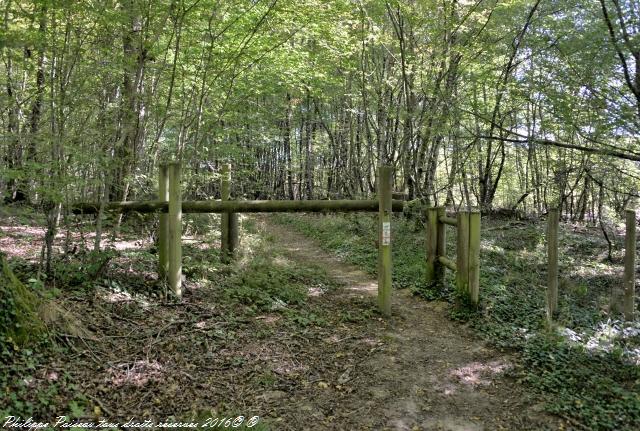 Étangs de Baye et Vaux sentier martin pêcheur