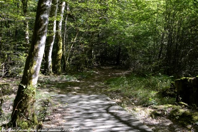 Étangs de Baye et Vaux sentier martin pêcheur