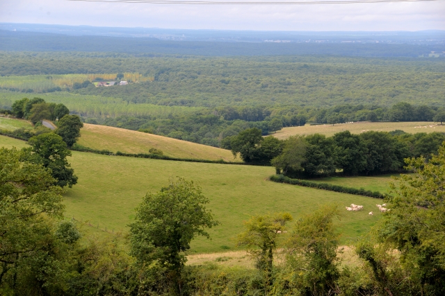 Panorama de Semelay