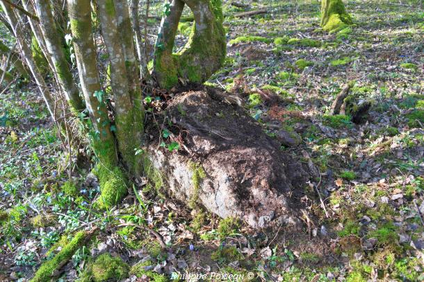 La Pierre « Chauffe-Cul » de Précy un beau patrimoine
