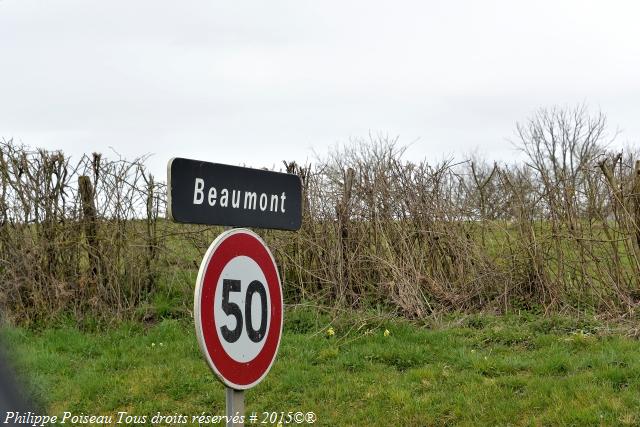 Pigeonnier Lieu Dit Beaumont Nièvre Passion