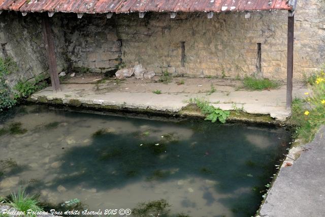 Petit lavoir de Chaulgnes