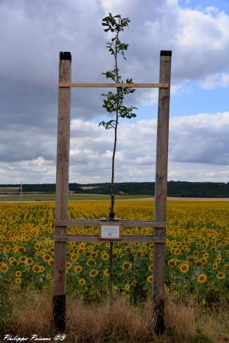 Monument aux morts d'Authiou