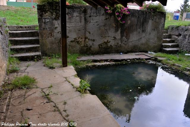 Petit lavoir de Chaulgnes