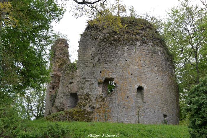 Château de Saint Vérain un remarquable fort