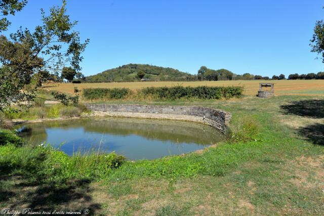 Marre du Puits de La Bienne