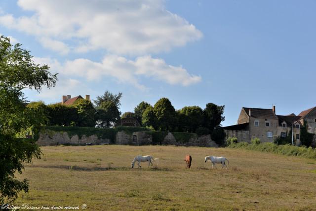 Le Château d'Asnois