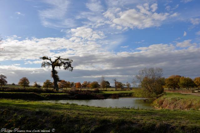 Mare et éolienne de Chanteloup un patrimoine