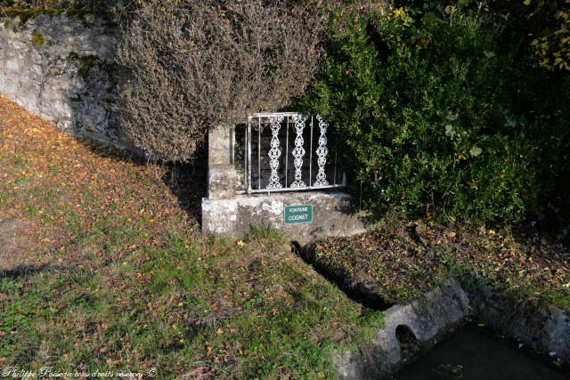 Lavoir Cognet de Dompierre-sur-Héry