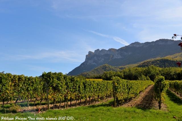 saint sauveur en diois