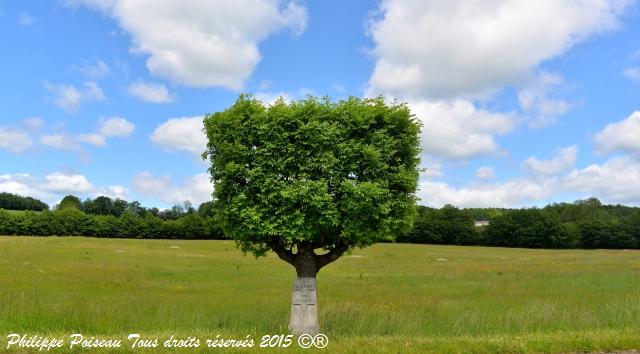 Stèle de Sichamps un hommage à la Résistance