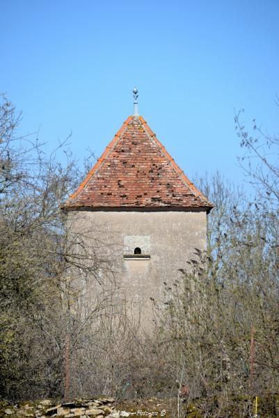 Colombier de Michaugues Nièvre Passion