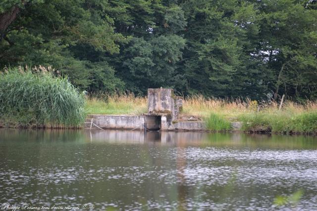 Étang du Moulin au Loup