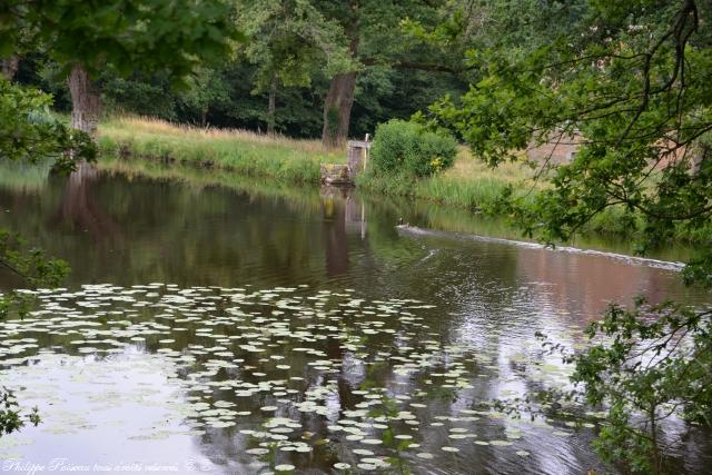 Étang du Moulin au Loup