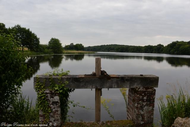 Étang du Moulin au Loup un remarquable étang.