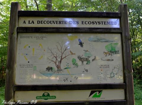 La Forêt de Prémery remarquable réserve naturelle Française