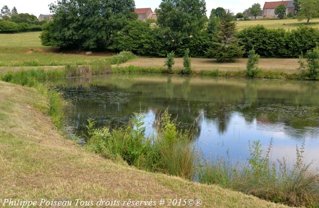 Plan d'eau de Saint Sulpice