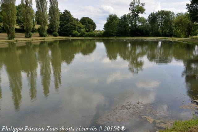 Plan d'eau de Saint Sulpice