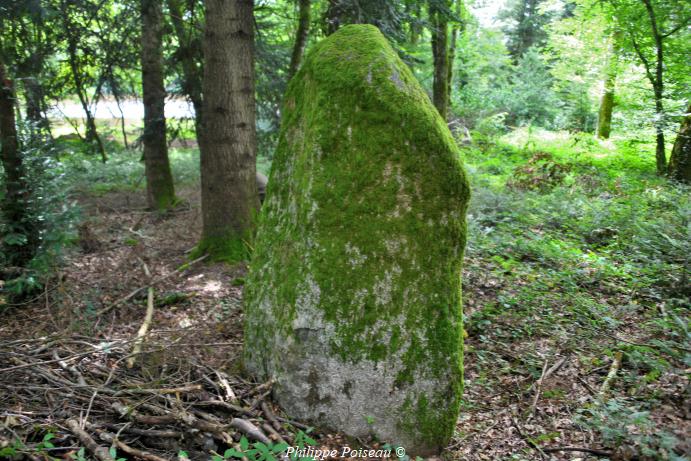 La pierre de Montbracon