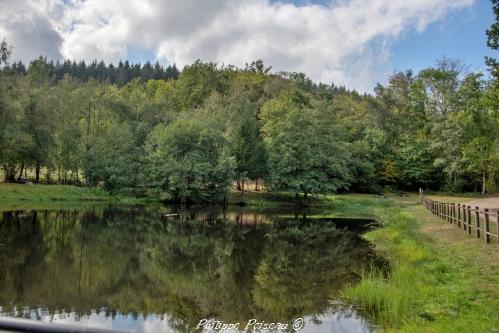 Étang communal de Fâchin un patrimoine naturel