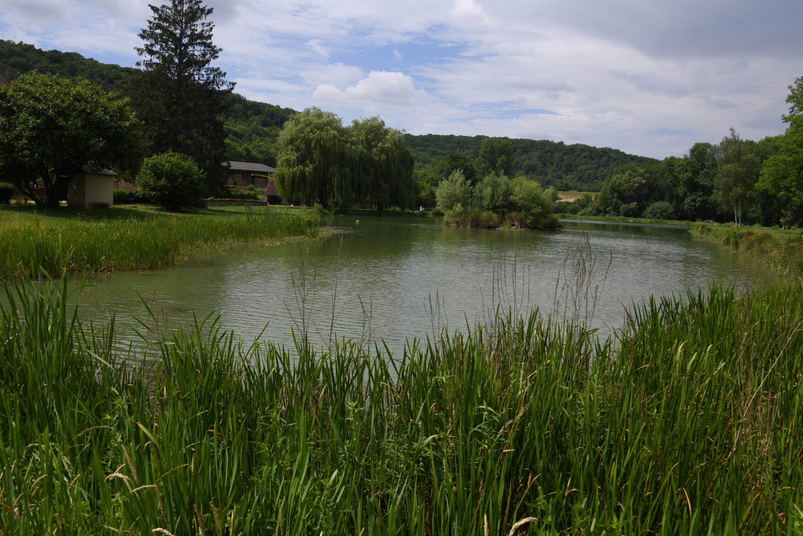 Étang de Courcelles un beau plan d’eau