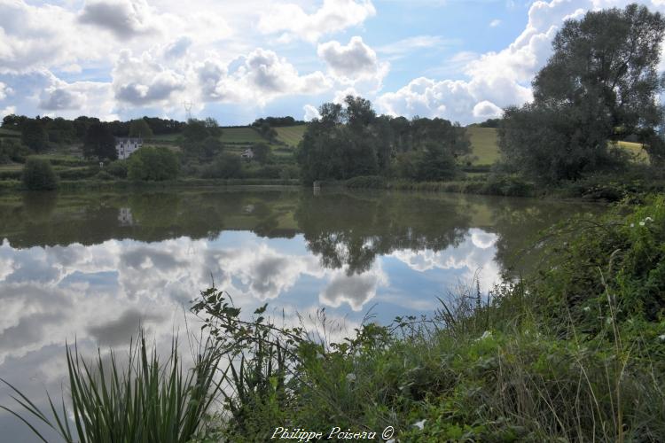 Étang de Gipy un patrimoine naturel