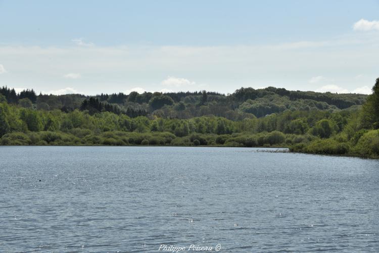 Étang Taureau de Saint-Brisson