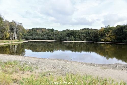 Étang de la Fiolle un beau plan d’eau de la Nièvre