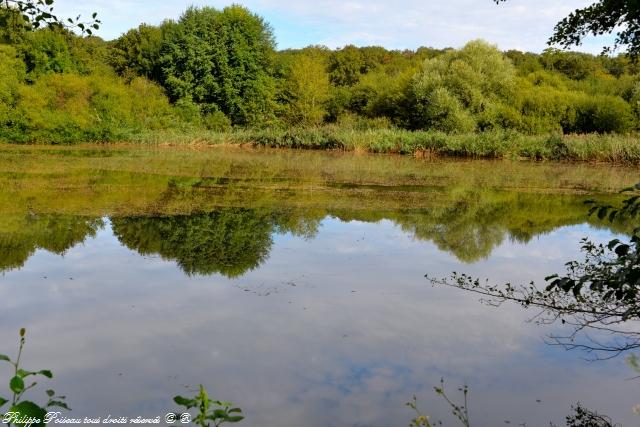 Plan d'eau du Fourneau de Guichy Nièvre Passion