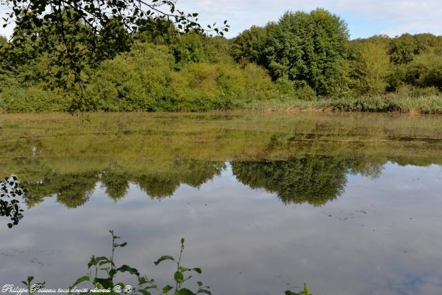 Plan d'eau du Fourneau de Guichy Nièvre Passion