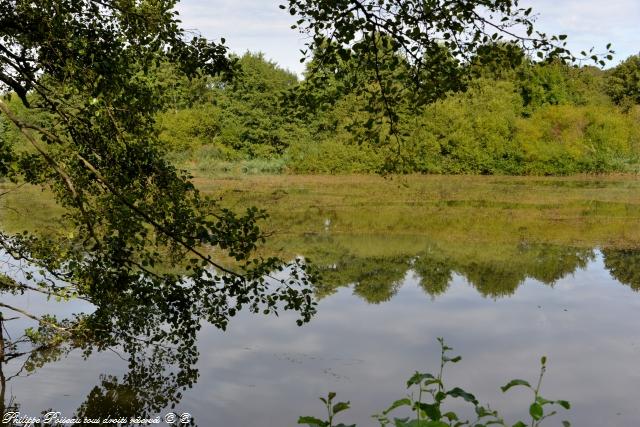 Plan d'eau du Fourneau de Guichy Nièvre Passion