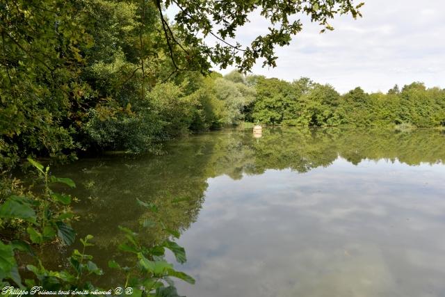 Plan d'eau du Fourneau de Guichy Nièvre Passion