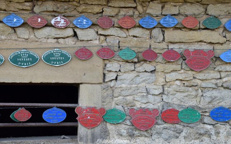 Plaques de concours de Selins