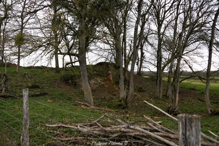 Ancien four d’Ougny un patrimoine