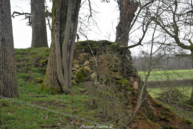 Ancien four d'Ougny