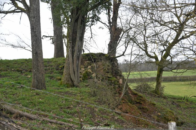 Ancien four d'Ougny