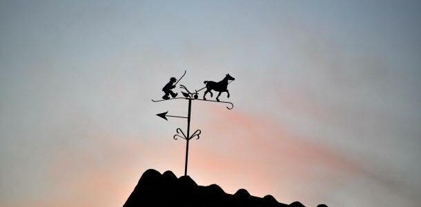 La girouette du labour