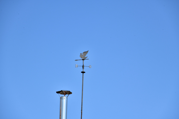 Girouette pigeon de Balleray