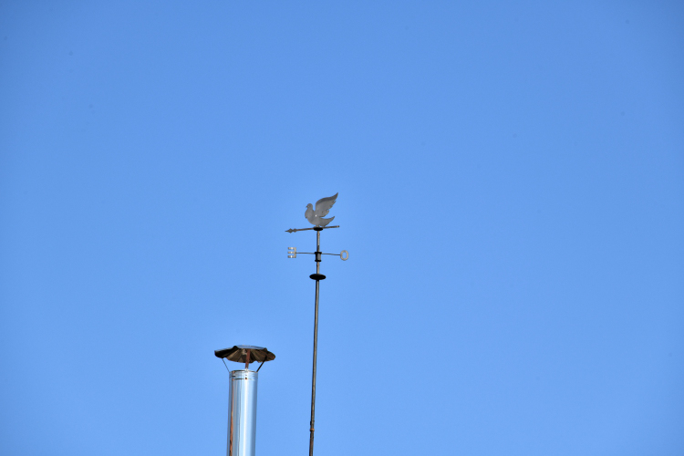 Girouette pigeon de Balleray