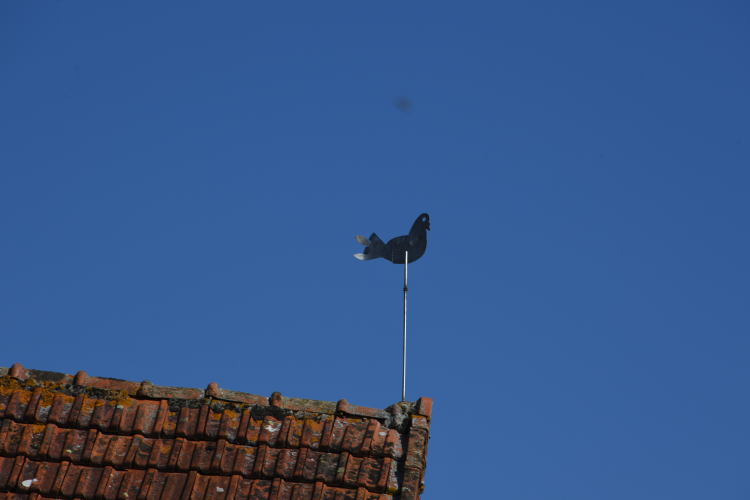 Girouette pigeon de Balleray