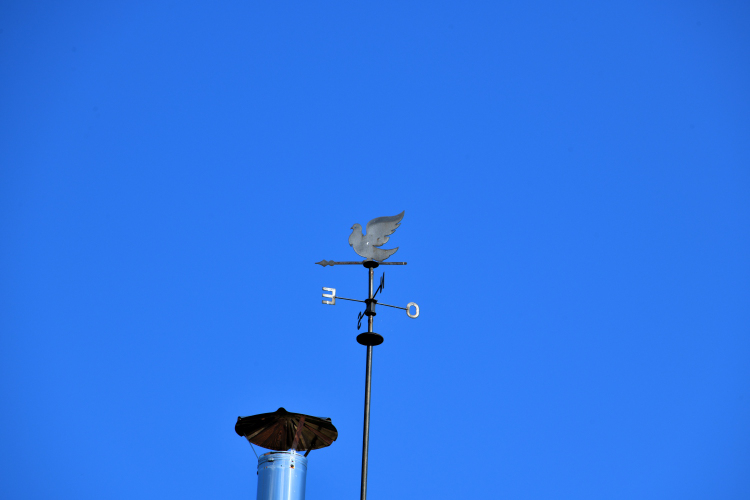 Girouette pigeon de Balleray