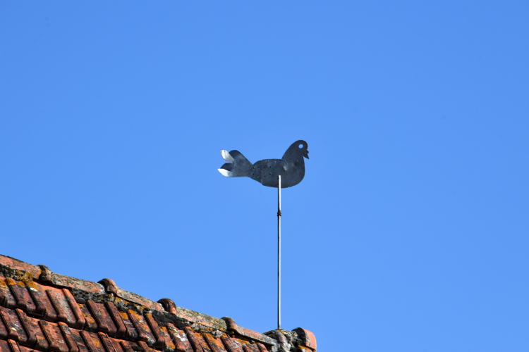 Girouette pigeon de Balleray 