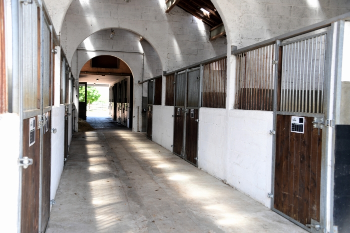 Haras de Cercy La Tour