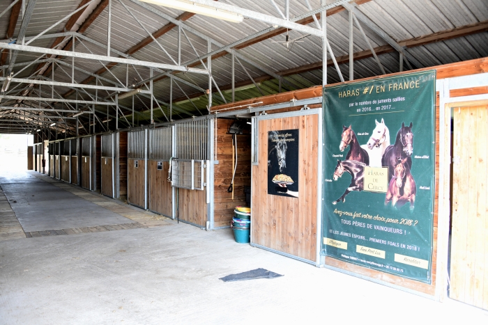 Haras de Cercy La Tour