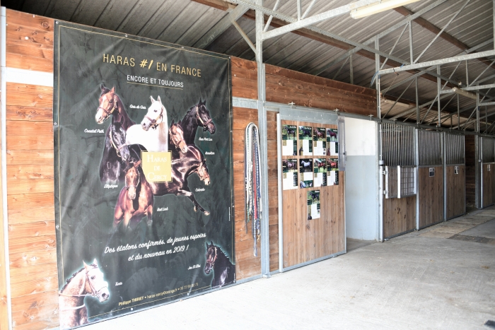 Haras de Cercy La Tour