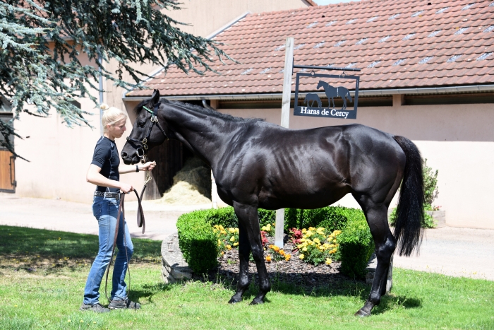 Haras de Cercy La Tour