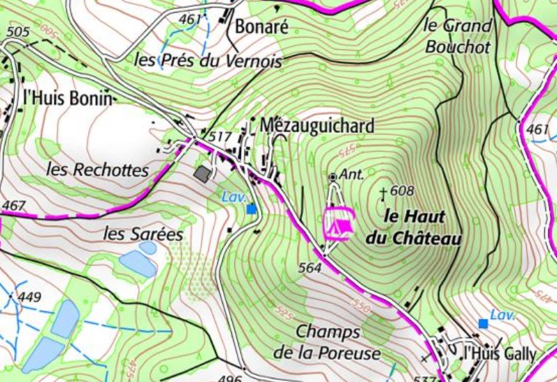 Allignement des pierres de "MEZAUGUICHARD"