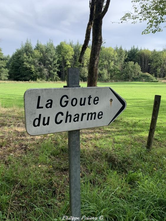 La Goutte du Charme